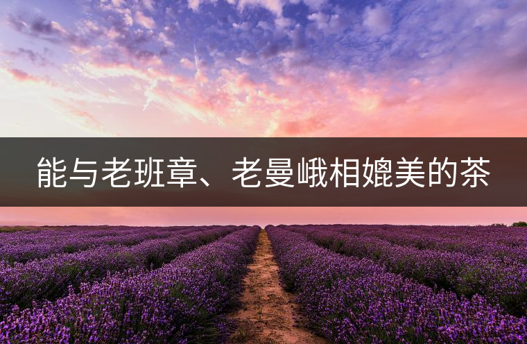 能與老班章、老曼峨相媲美的茶