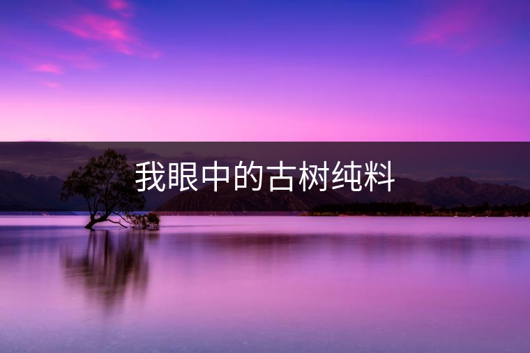 我眼中的古樹純料