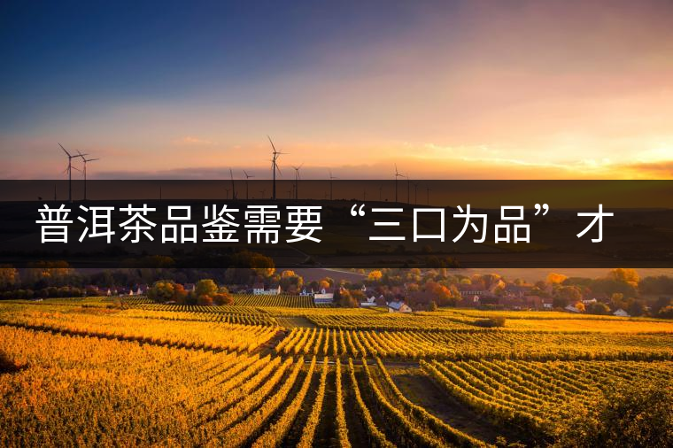 普洱茶品鑒需要“三口為品”才真實，那從哪里入手品鑒呢？