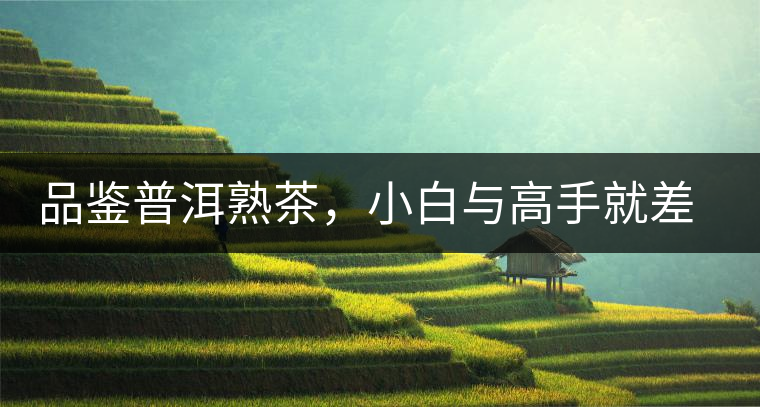 品鑒普洱熟茶，小白與高手就差這五點