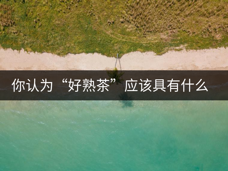 你認為“好熟茶”應(yīng)該具有什么樣的標準？