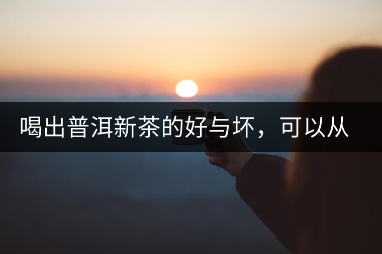 喝出普洱新茶的好與壞,可以從這五點(diǎn)出發(fā) 喝出普洱新茶的好與壞,可以從這五點(diǎn)出發(fā)