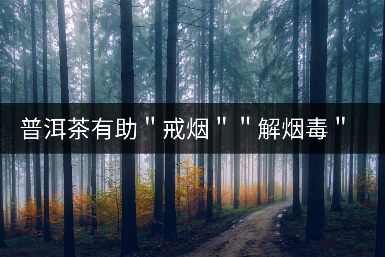 普洱茶有助＂戒煙＂＂解煙毒＂ 的機理