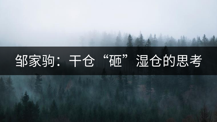 鄒家駒：干倉“砸”濕倉的思考