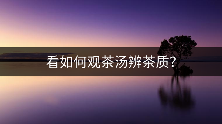 看如何觀茶湯辨茶質(zhì)？