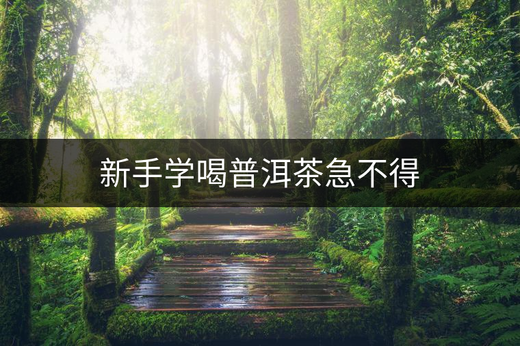 新手學(xué)喝普洱茶急不得