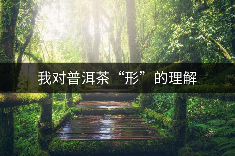 我對普洱茶“形”的理解