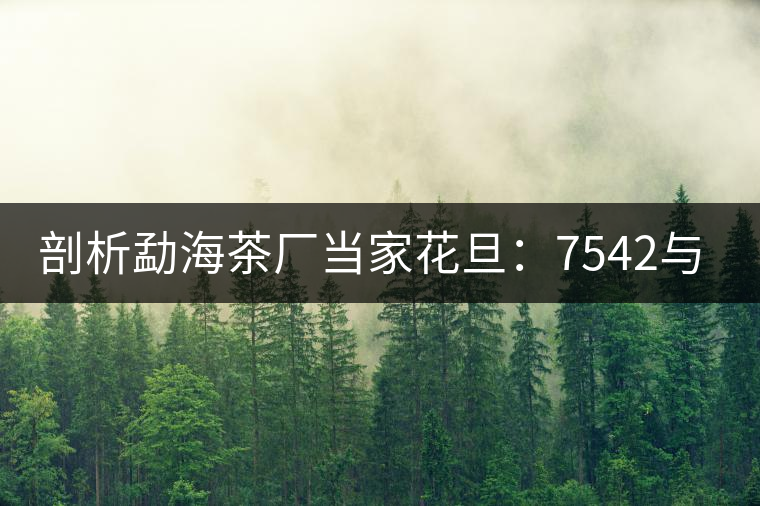 剖析勐海茶廠當家花旦:7542與7572的市場價值 剖析勐海茶廠當家花旦:7542與7572的市場價值