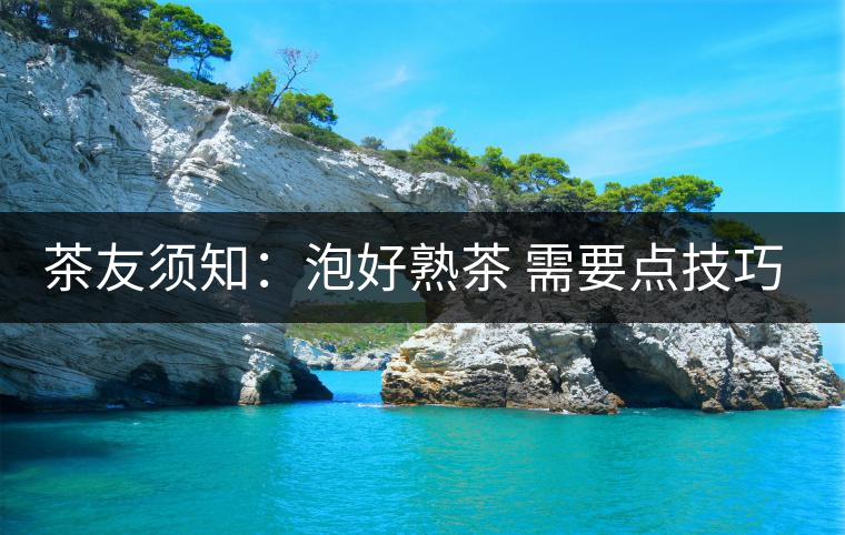 茶友須知:泡好熟茶 需要點技巧(1) 茶友須知:泡好熟茶 需要點技巧(1)