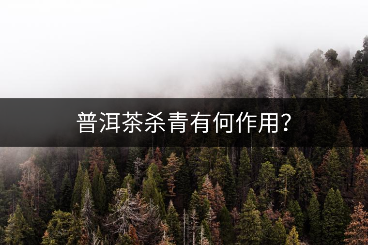 普洱茶殺青有何作用？