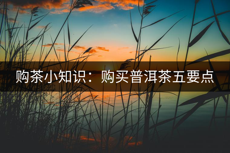 購(gòu)茶小知識(shí)：購(gòu)買普洱茶五要點(diǎn)