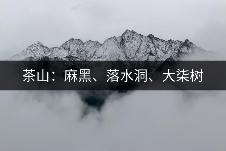 茶山：麻黑、落水洞、大柒樹(shù)