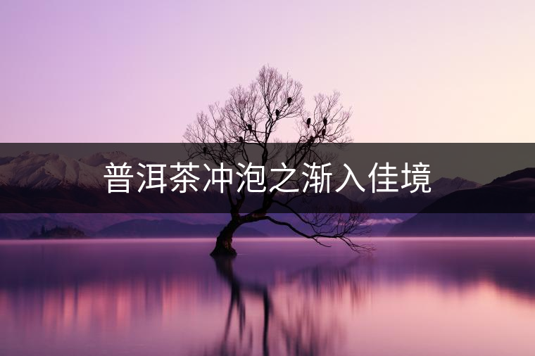 普洱茶沖泡之漸入佳境