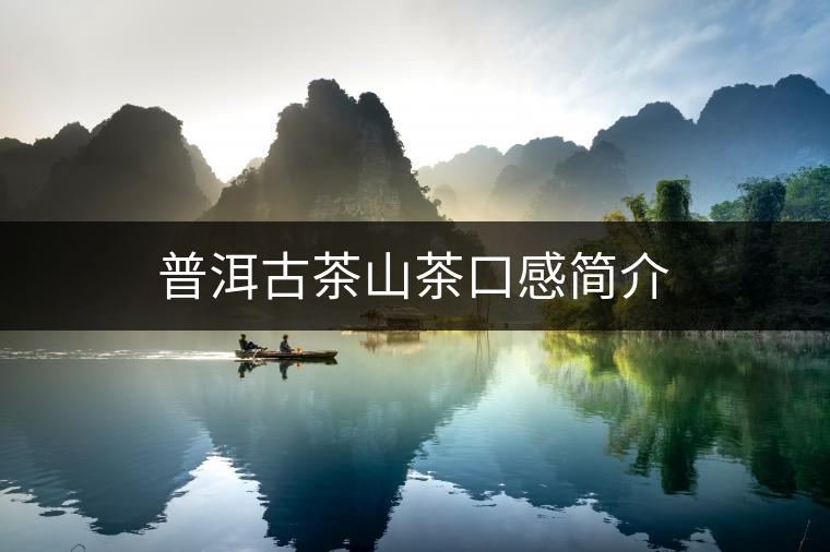 普洱古茶山茶口感簡介