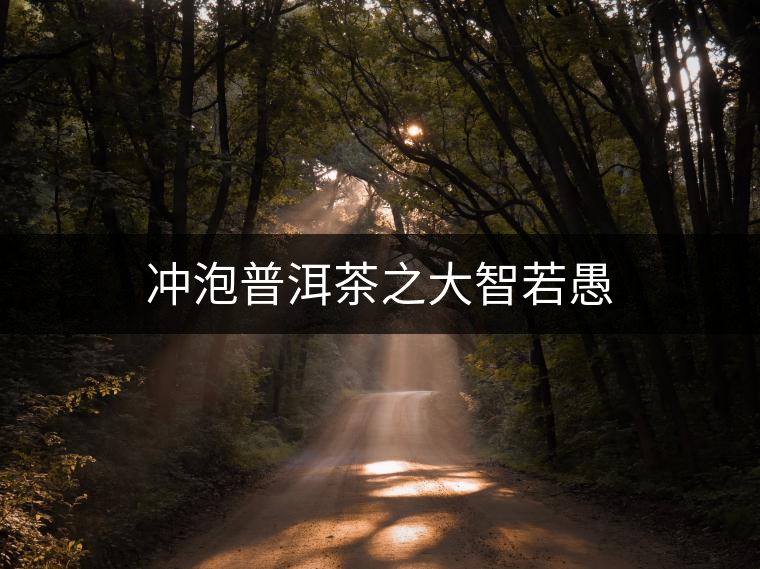 沖泡普洱茶之大智若愚 沖泡普洱茶之大智若愚