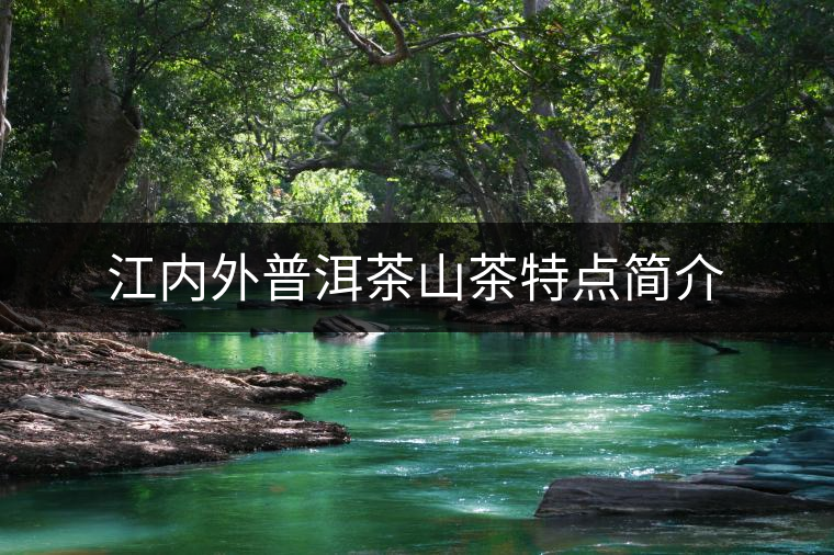 江內(nèi)外普洱茶山茶特點簡介 江內(nèi)外普洱茶山茶特點簡介