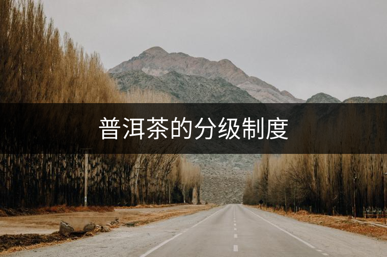 普洱茶的分級(jí)制度