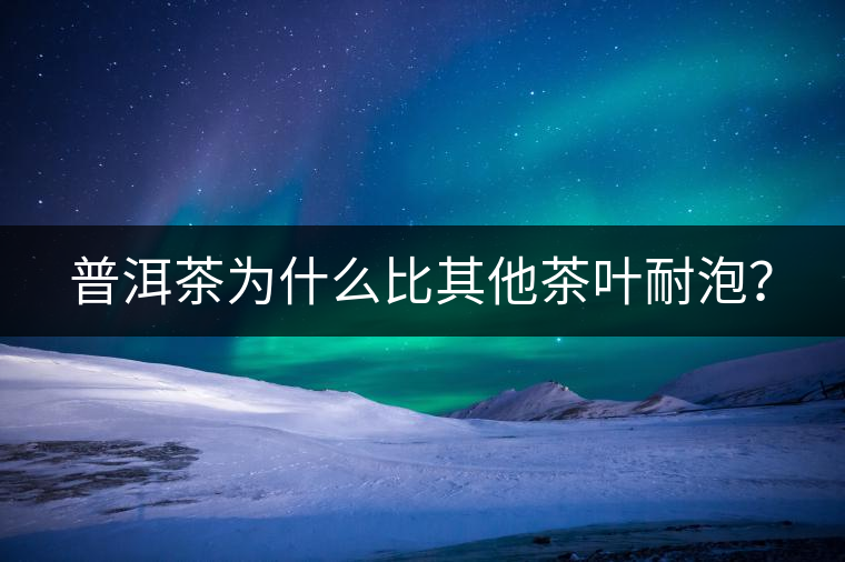 普洱茶為什么比其他茶葉耐泡？