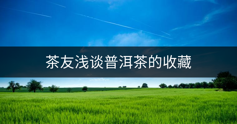茶友淺談普洱茶的收藏