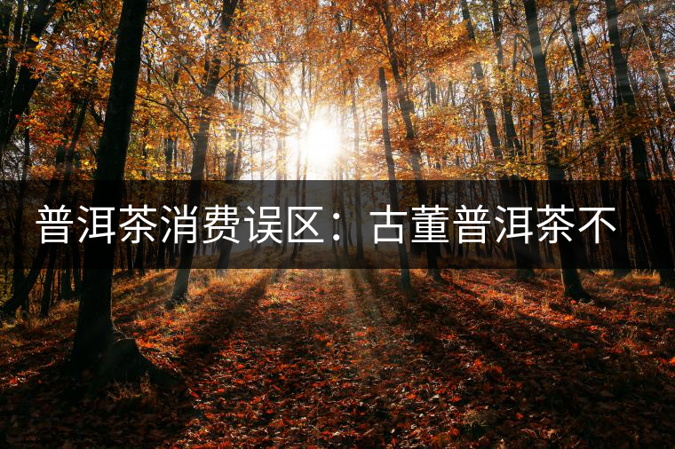 普洱茶消費誤區(qū):古董普洱茶不是越老越值錢 普洱茶消費誤區(qū):古董普洱茶不是越老越值錢