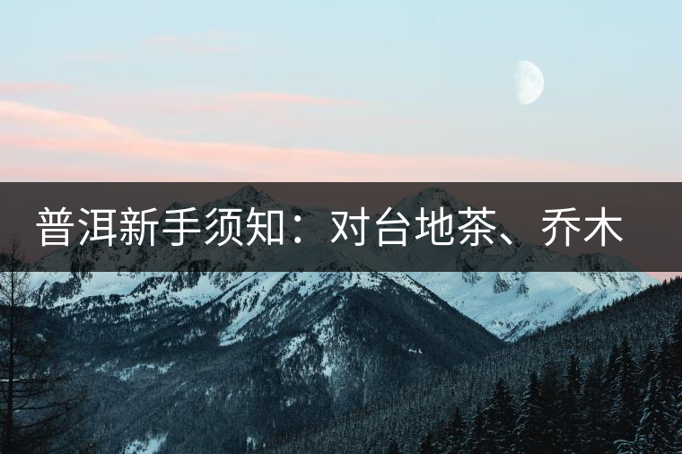 普洱新手須知：對(duì)臺(tái)地茶、喬木茶、古樹(shù)茶的簡(jiǎn)易理解