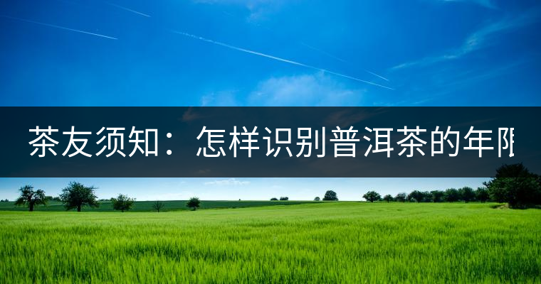 茶友須知：怎樣識別普洱茶的年限？