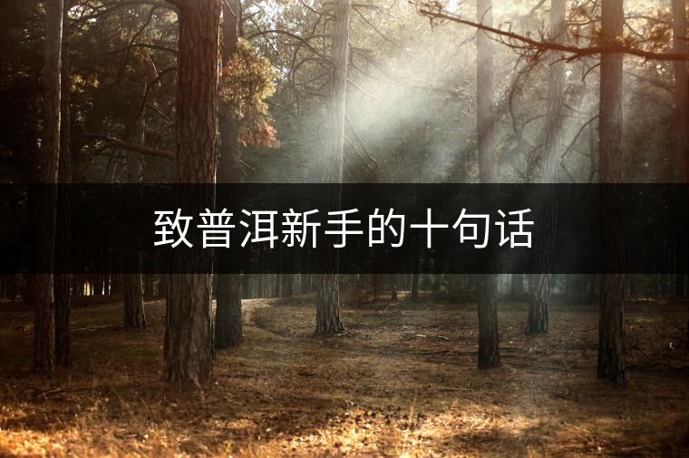 致普洱新手的十句話