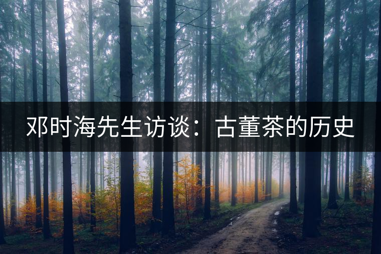 鄧時(shí)海先生訪談：古董茶的歷史