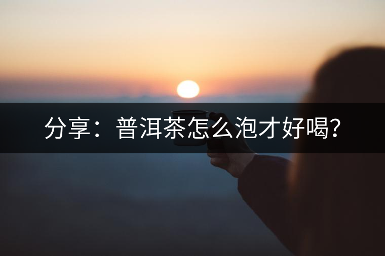 分享：普洱茶怎么泡才好喝？