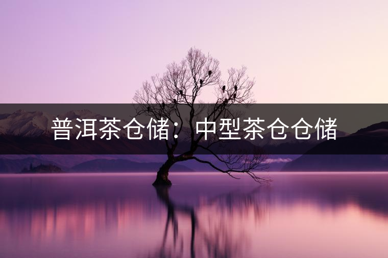 普洱茶倉儲：中型茶倉倉儲
