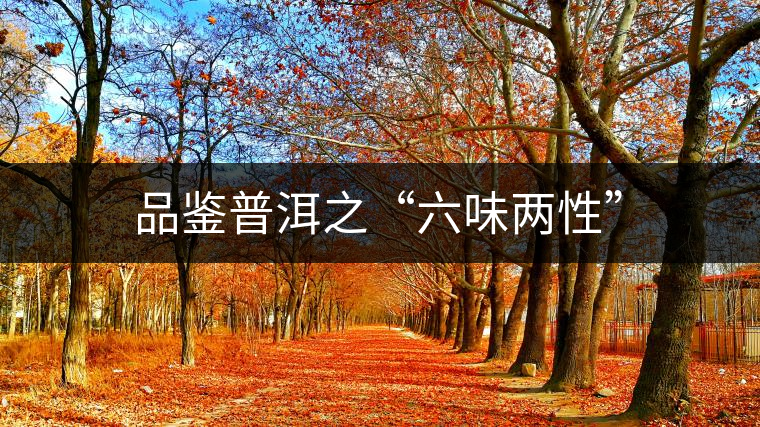 品鑒普洱之“六味兩性”