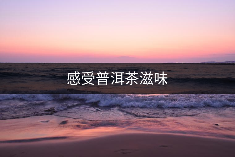 感受普洱茶滋味