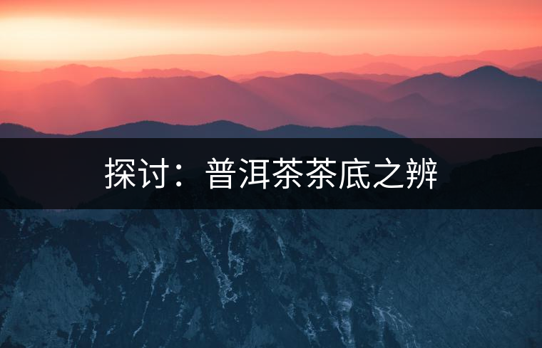 探討：普洱茶茶底之辨