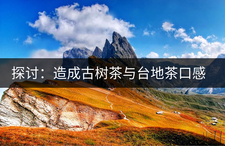 探討：造成古樹(shù)茶與臺(tái)地茶口感各異的原因