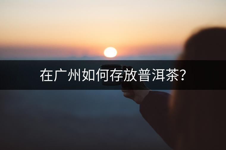 在廣州如何存放普洱茶？