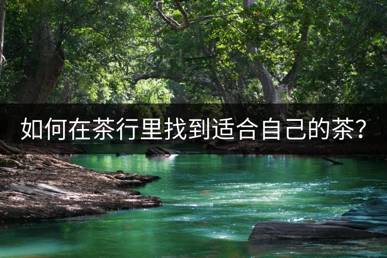 如何在茶行里找到適合自己的茶？