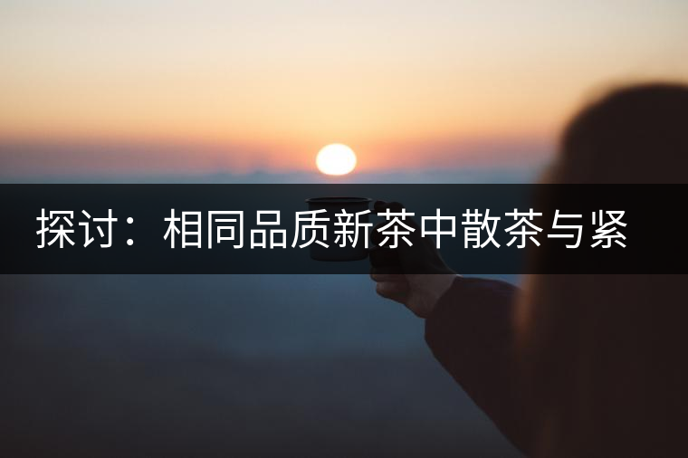 探討：相同品質(zhì)新茶中散茶與緊壓茶哪個好？