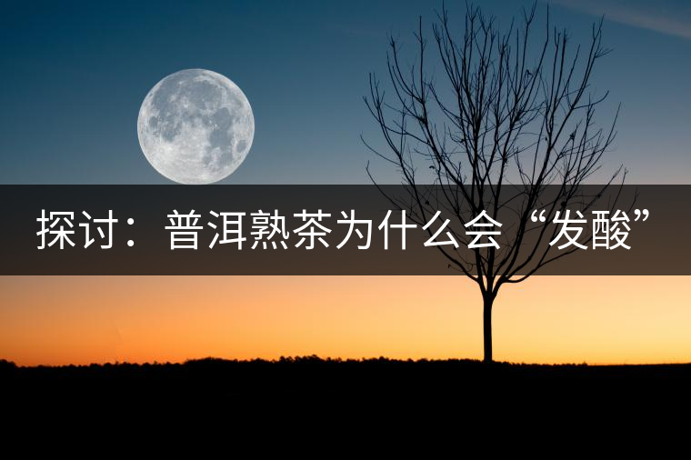 探討：普洱熟茶為什么會“發(fā)酸”？