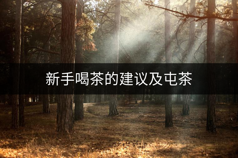 新手喝茶的建議及屯茶