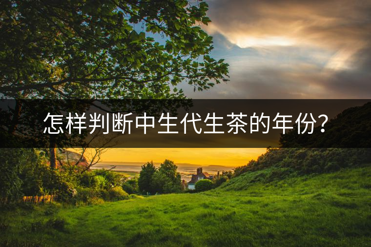 怎樣判斷中生代生茶的年份？