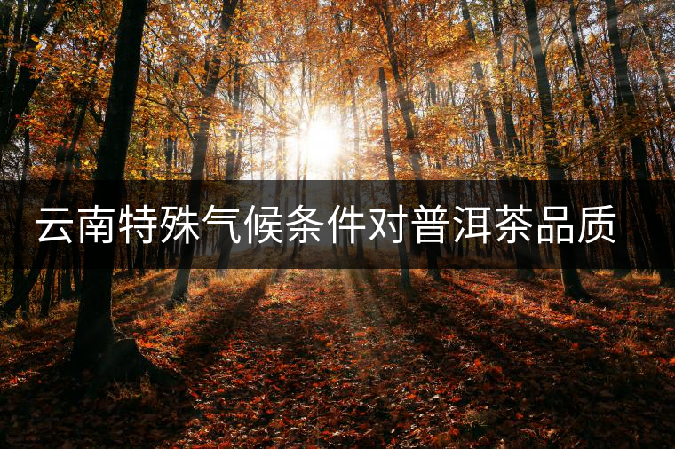 云南特殊氣候條件對普洱茶品質的影響 云南特殊氣候條件對普洱茶品質的影響
