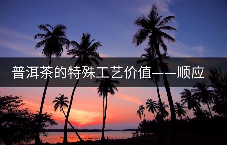 普洱茶的特殊工藝價(jià)值——順應(yīng)自然的啟示