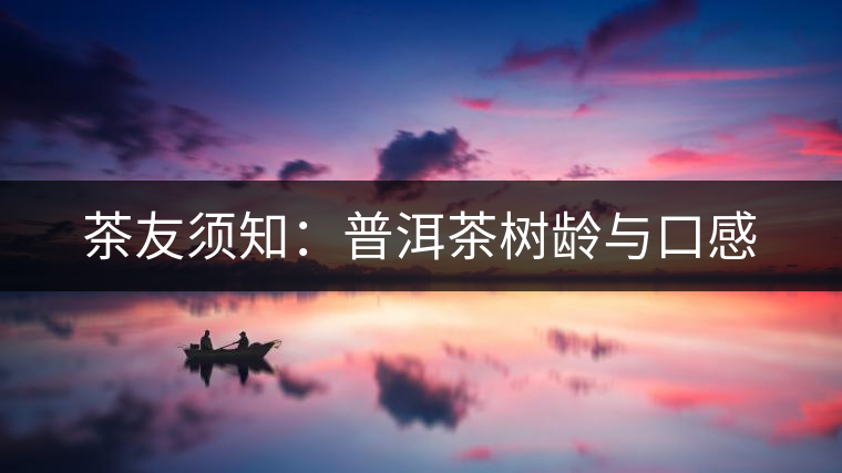 茶友須知：普洱茶樹齡與口感