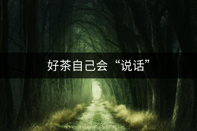 好茶自己會“說話” 好茶自己會“說話”