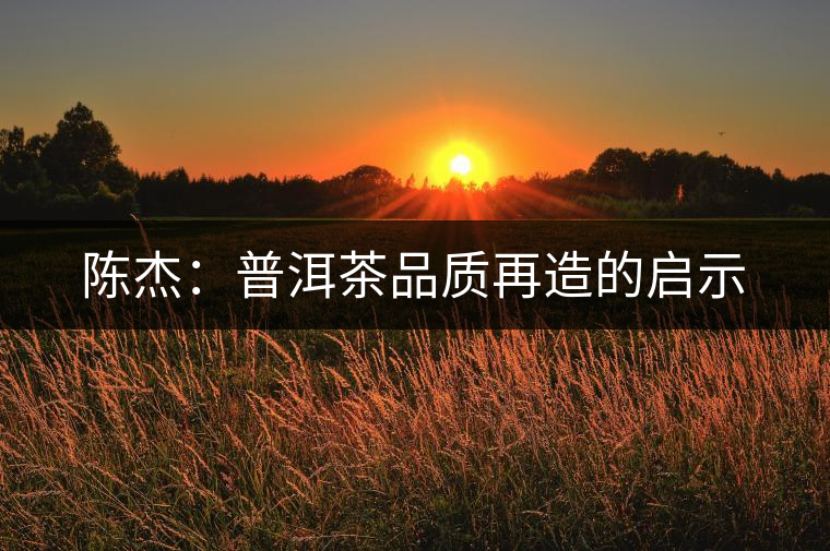 陳杰：普洱茶品質(zhì)再造的啟示