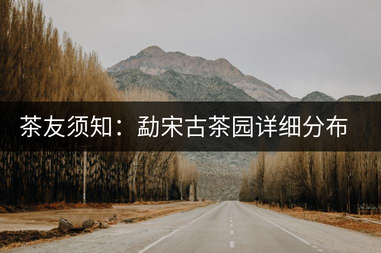 茶友須知：勐宋古茶園詳細(xì)分布情況及其特色