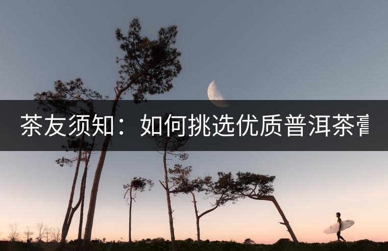 茶友須知：如何挑選優(yōu)質(zhì)普洱茶膏？