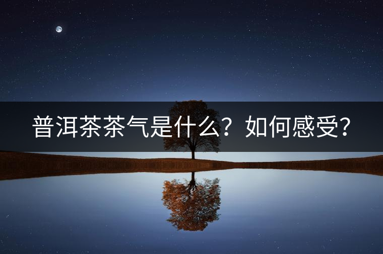 普洱茶茶氣是什么？如何感受？