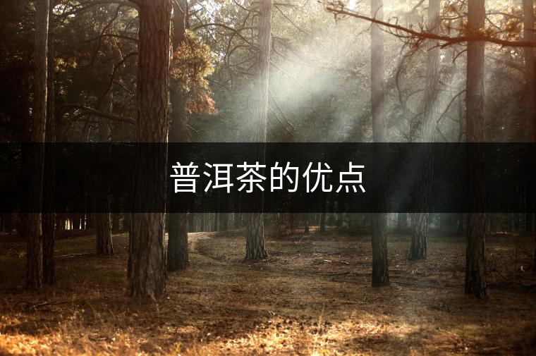 普洱茶的優(yōu)點 普洱茶的優(yōu)點