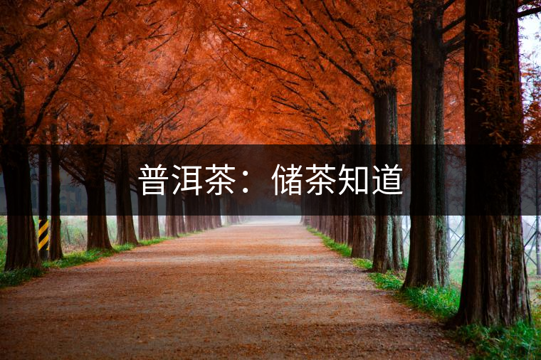 普洱茶：儲(chǔ)茶知道